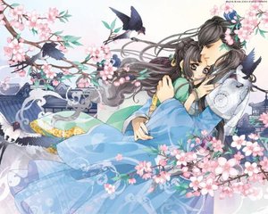 蓝鸟导航怎么用